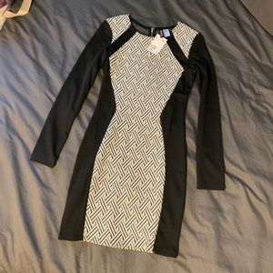H&M Bodycon Dress